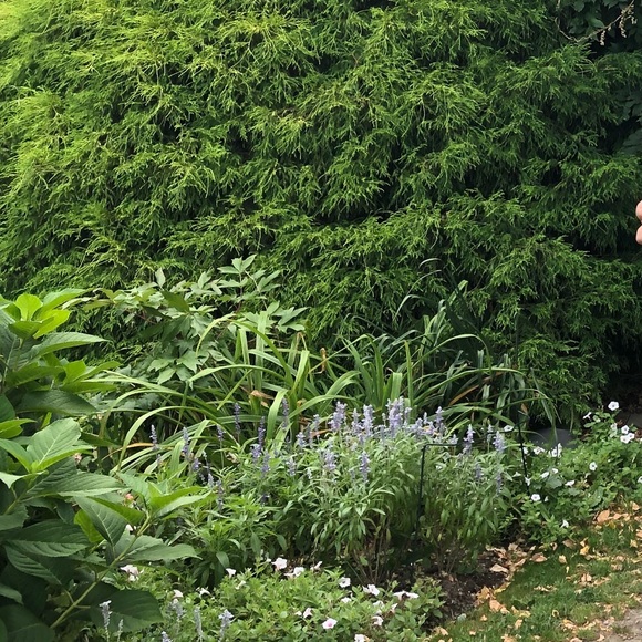 Meet your Posher, Kelly - Picture 1 of 1